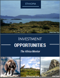 Read more about the article Ethiopia Investments – Many Profitable Projects on Offer